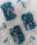 Sea Green Dried Baby's Breath Flowers – Preserved Gypsophila for Cake Decoration, Floral Arrangements & DIY Crafts