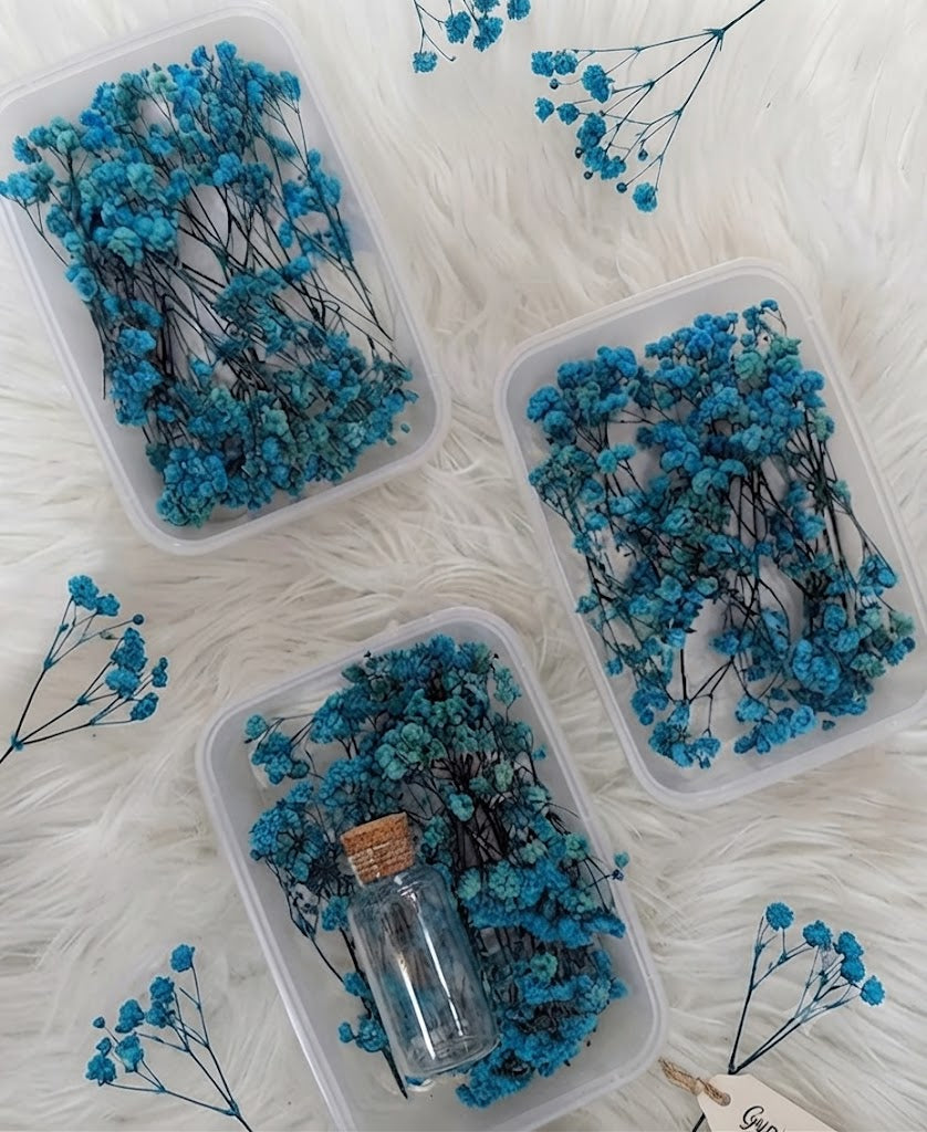 Sea Green Dried Baby's Breath Flowers – Preserved Gypsophila for Cake Decoration, Floral Arrangements & DIY Crafts