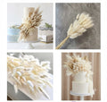 Dried Bunny Tail Grass – Natural Preserved Decorative Grass for Cake Decoration, Floral Arrangements & DIY Crafts