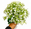 Baby's Breath – Big Bunch | Preserved Gypsophila Flowers for Cake Decoration, Floral Arrangements & DIY Crafts