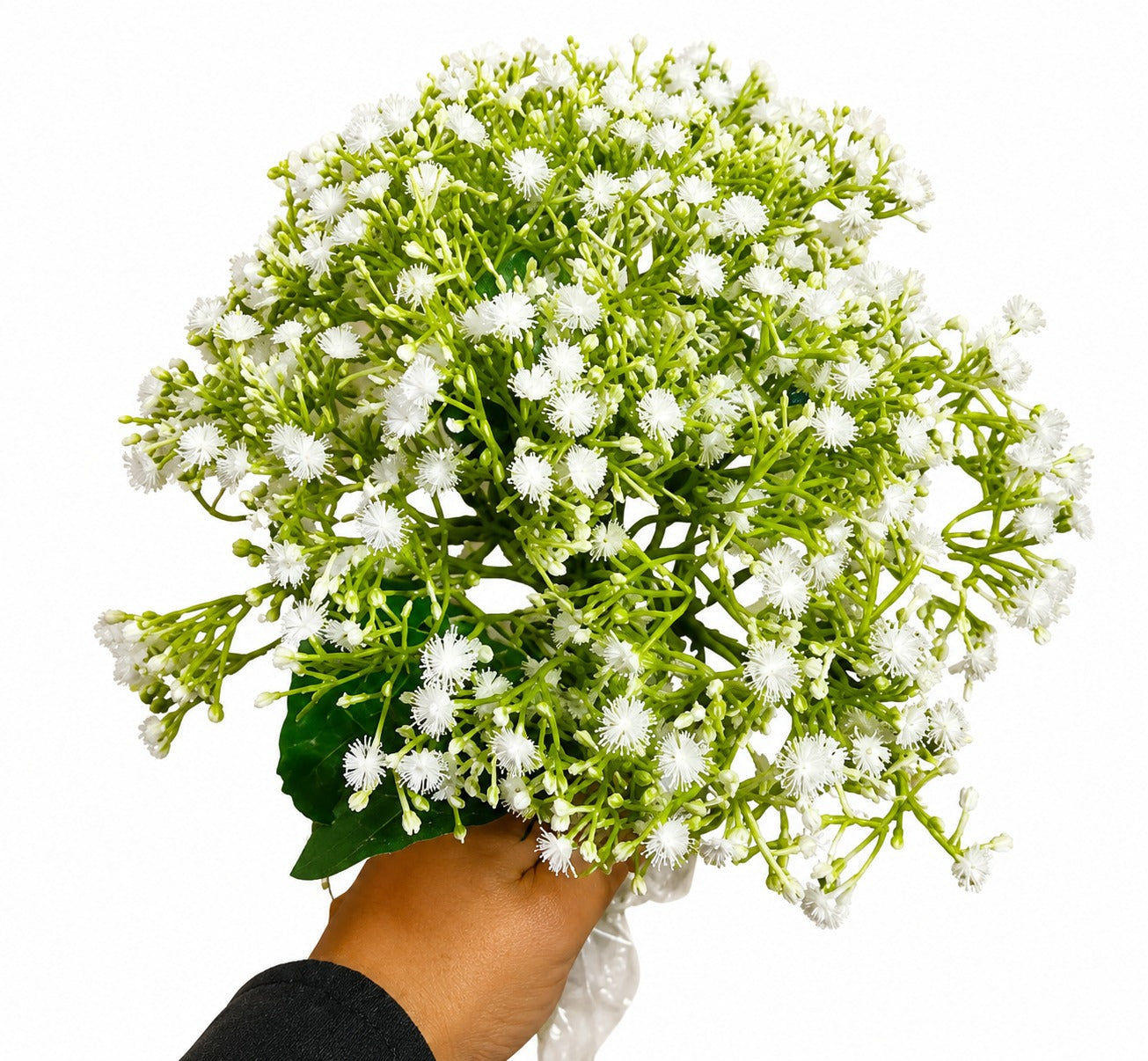 Baby's Breath – Big Bunch | Preserved Gypsophila Flowers for Cake Decoration, Floral Arrangements & DIY Crafts