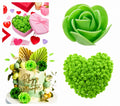 Mini Sea Green Fomic Flowers – Pack of 12 for Cake Decorating & DIY Crafts