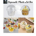 Disposable Plastic Lid Box Pack Of 10 Pcs