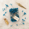 Blue Dried Baby Breath | Preserved Gypsophila Flowers for Cake Decoration & Crafts