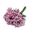 Light Pink Stemens