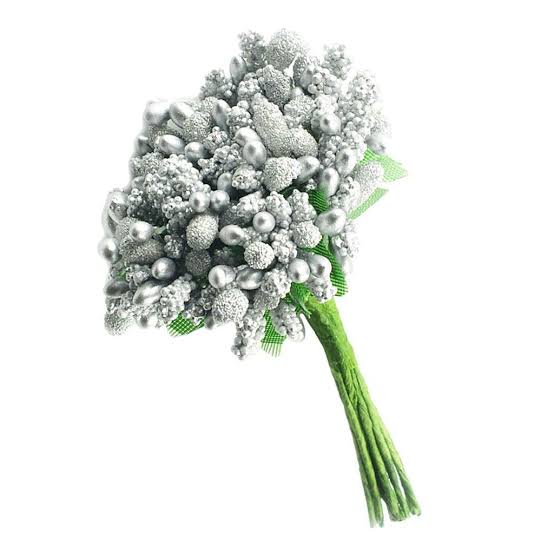 Silver Stemens