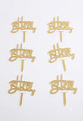 6 Pcs Happy Birthday Mini Cake Toppers for Cake Decorating – Premium Birthday Cake Decorations