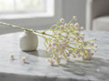 Dried Baby's Breath Flowers (Gypsophila) – Preserved Decorative Flowers for Cake Decoration & DIY Crafts