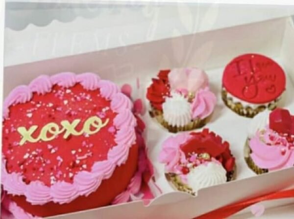 4 Cupcakes+Bento Box