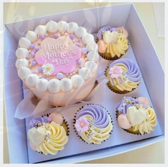 5 Cupcakes+Bento Box