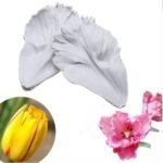 Veiners Silicone Mold