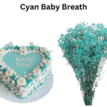 Cyan Baby Breath