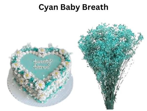 Cyan Baby Breath