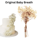 Original Baby Breath