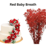 Red Baby Breath